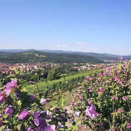 Logis L'ours De 3* Мюциг