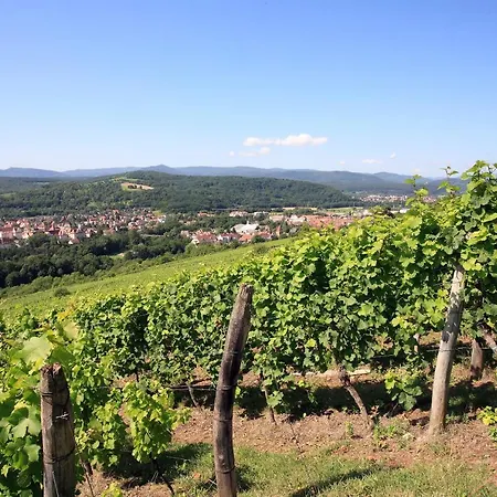 Logis L'ours De 3* Мюциг