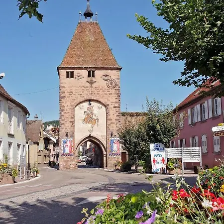 L'ours De Hotel