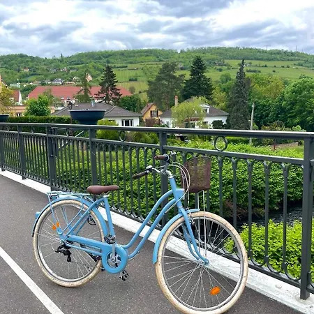 Logis L'ours De Мюциг