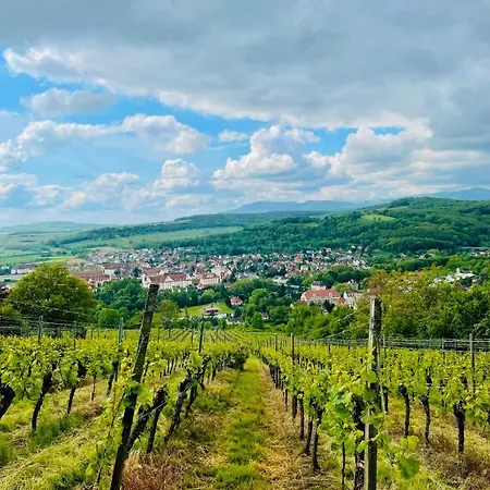 Logis Hotel L'Ours De Mutzig 3* Mutzig
