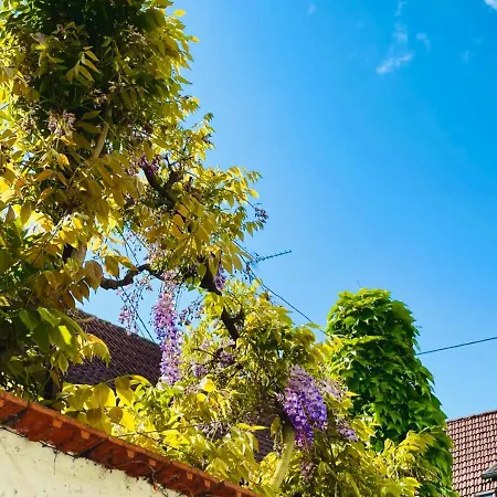 Logis L'ours De 3* Мюциг