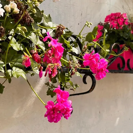 Logis L'ours De Отель