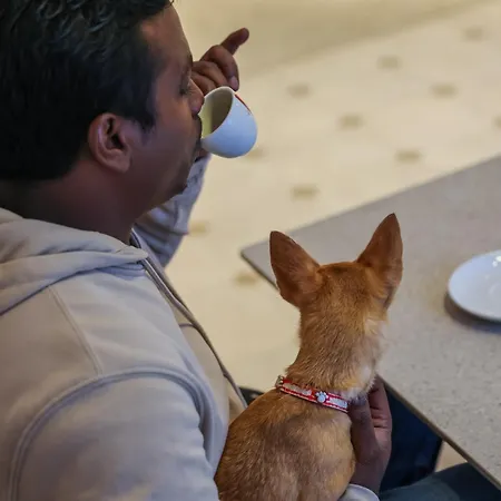 Logis Hotel L'Ours De Mutzig