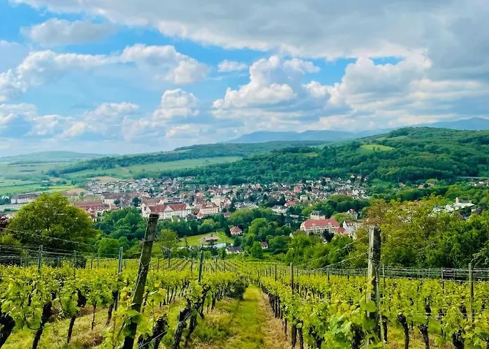 Restaurant L'ours De 3* Mutzig