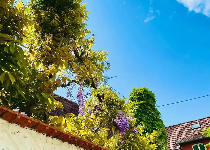 Restaurant L'ours De 3* Mutzig