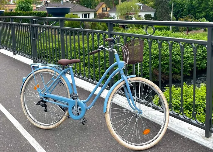 Hotel Restaurant L'ours De 3*