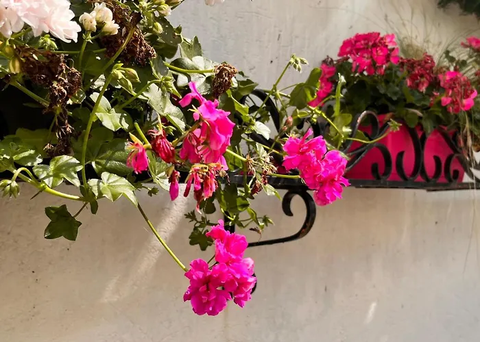 Restaurant L'ours De Hotel