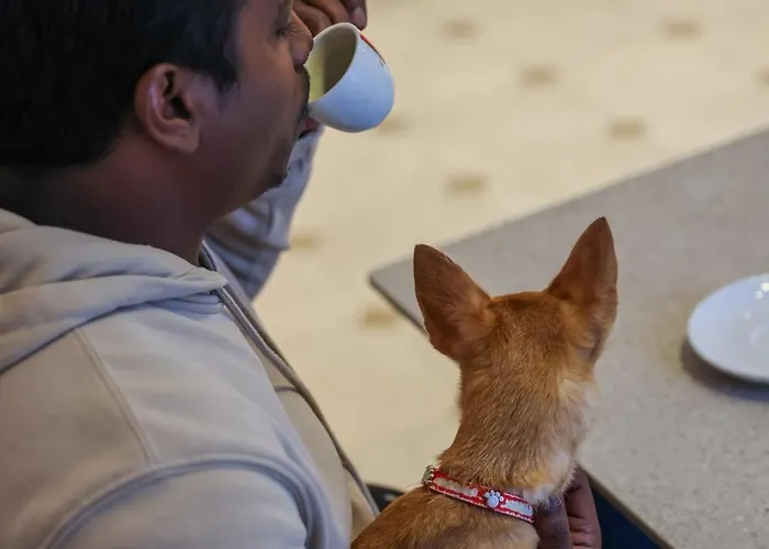 Restaurant L'ours De